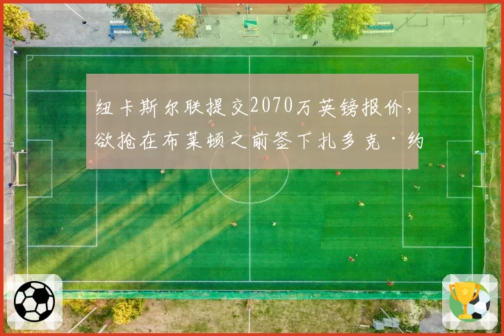 纽卡斯尔联提交2070万英镑报价，欲抢在布莱顿之前签下扎多克·约汉纳