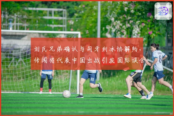 刘氏兄弟确认与匈牙利冰协解约，传闻将代表中国出战引发国际误会