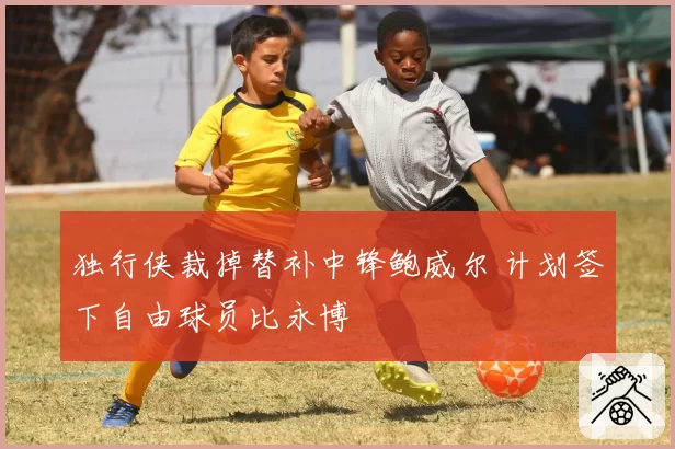 独行侠裁掉替补中锋鲍威尔 计划签下自由球员比永博