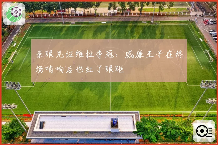 亲眼见证维拉夺冠，威廉王子在终场哨响后也红了眼眶