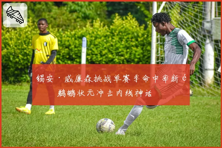 锡安·威廉森挑战单赛季命中率新高 鹈鹕状元冲击内线神话