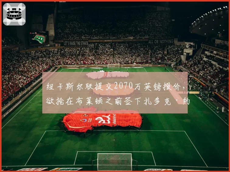 纽卡斯尔联提交2070万英镑报价，欲抢在布莱顿之前签下扎多克·约汉纳